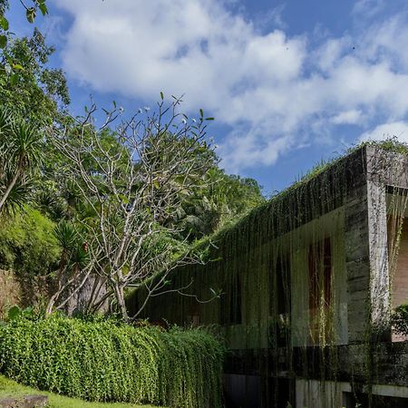 Chameleon Villa Bali Tabanan  Exterior photo